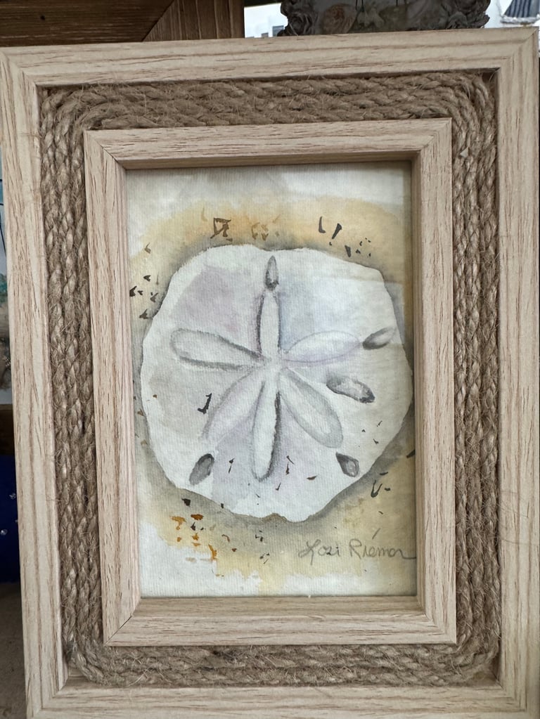 Framed watercolor illustration of a sand dollar with radiating lines, mounted in double wooden frames with natural textured borders